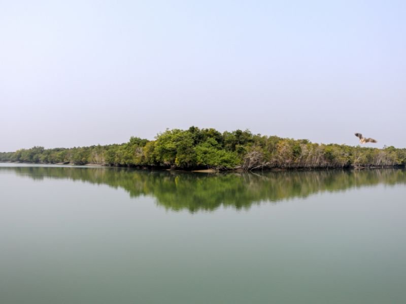 Bay of Bengal Mahona
