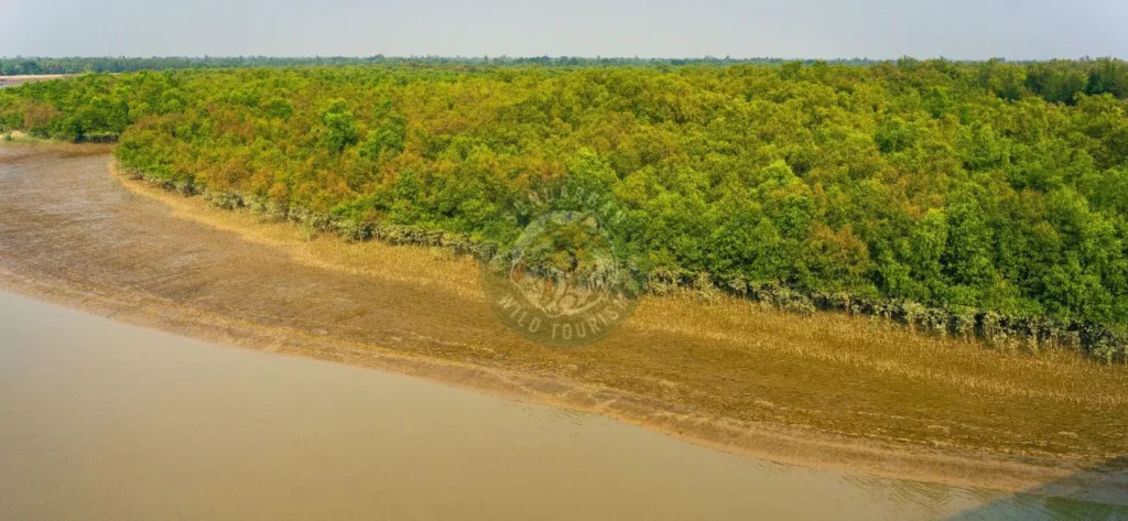 The Mangrove Forest of Sundarbans National Park